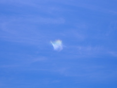 虹