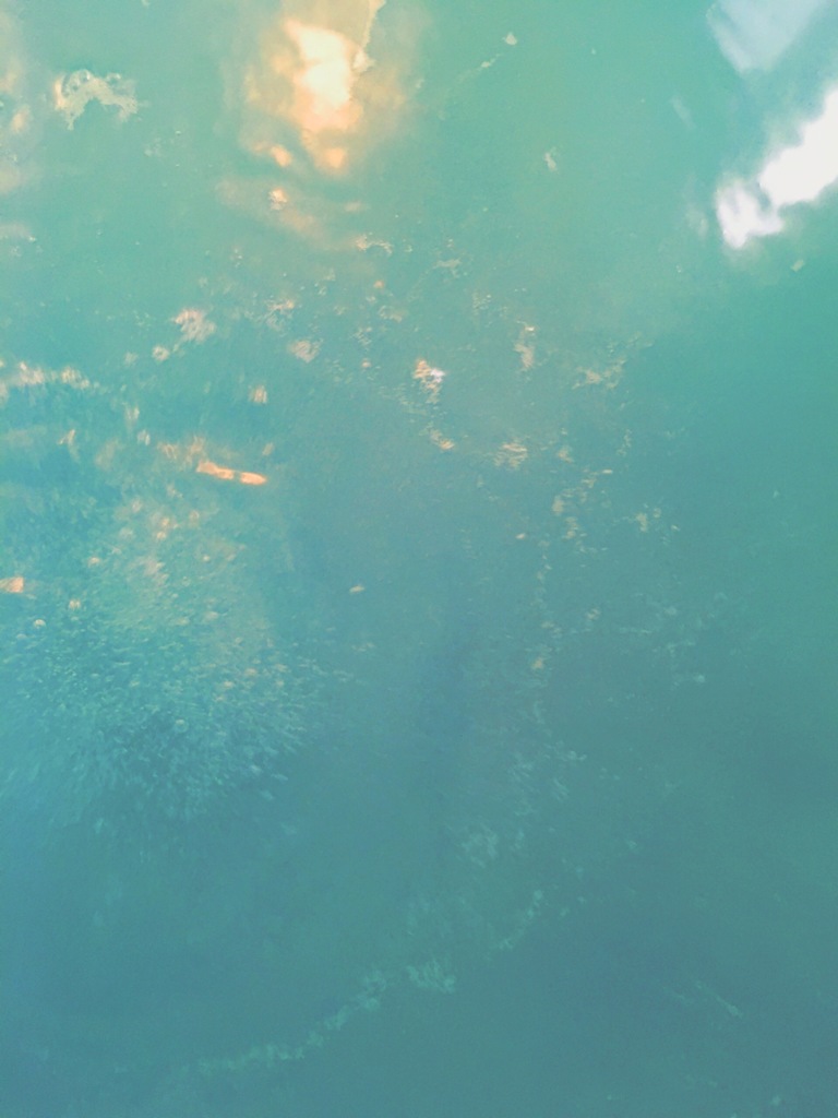 小さな海