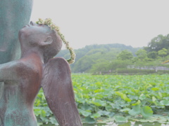 冠