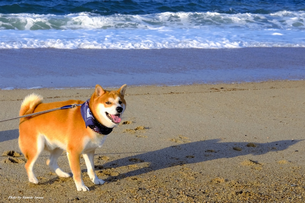 初の日本海