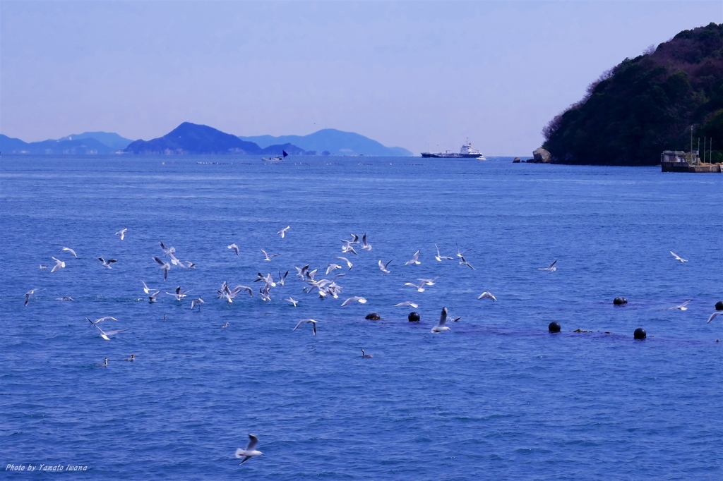 鳥山
