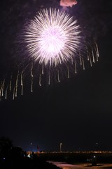 花降る