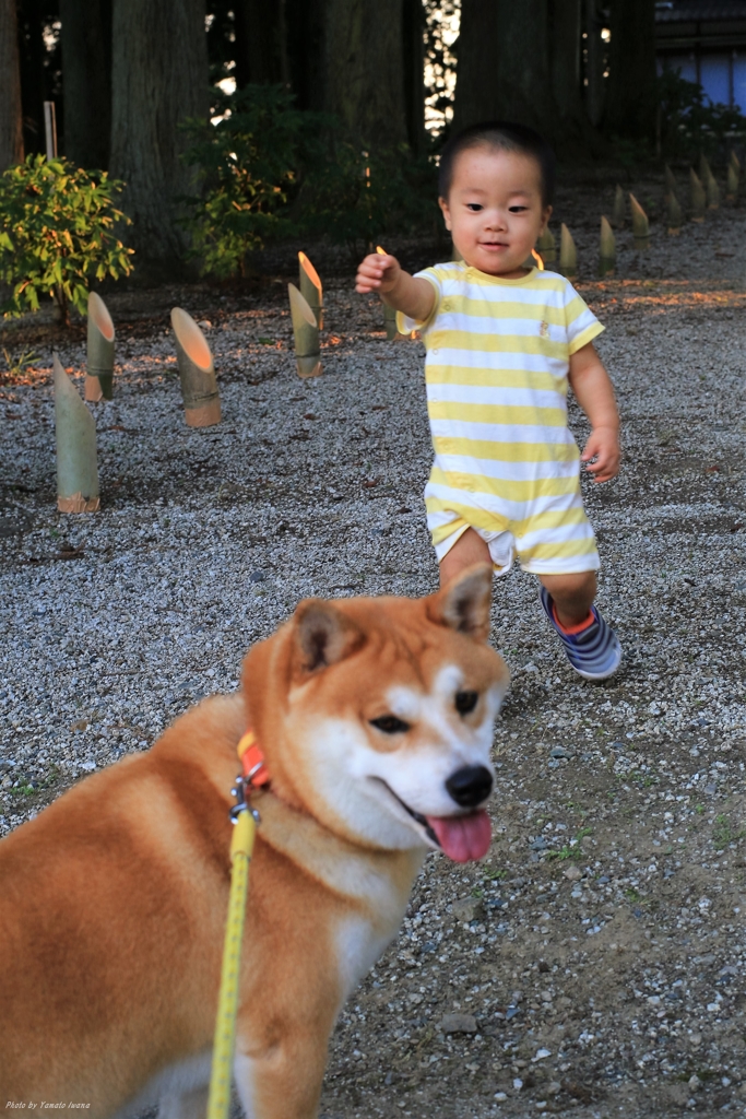 祭の前