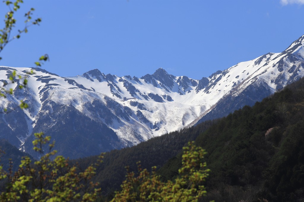 雪の木曽駒