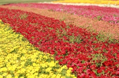 花絨毯
