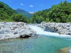 夏の木曽駒