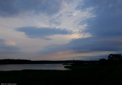 沼の夕暮れ１