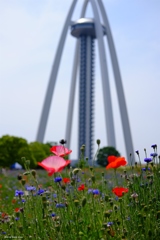 花タワー