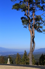 伊那一本松