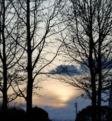 公園の夕暮れ