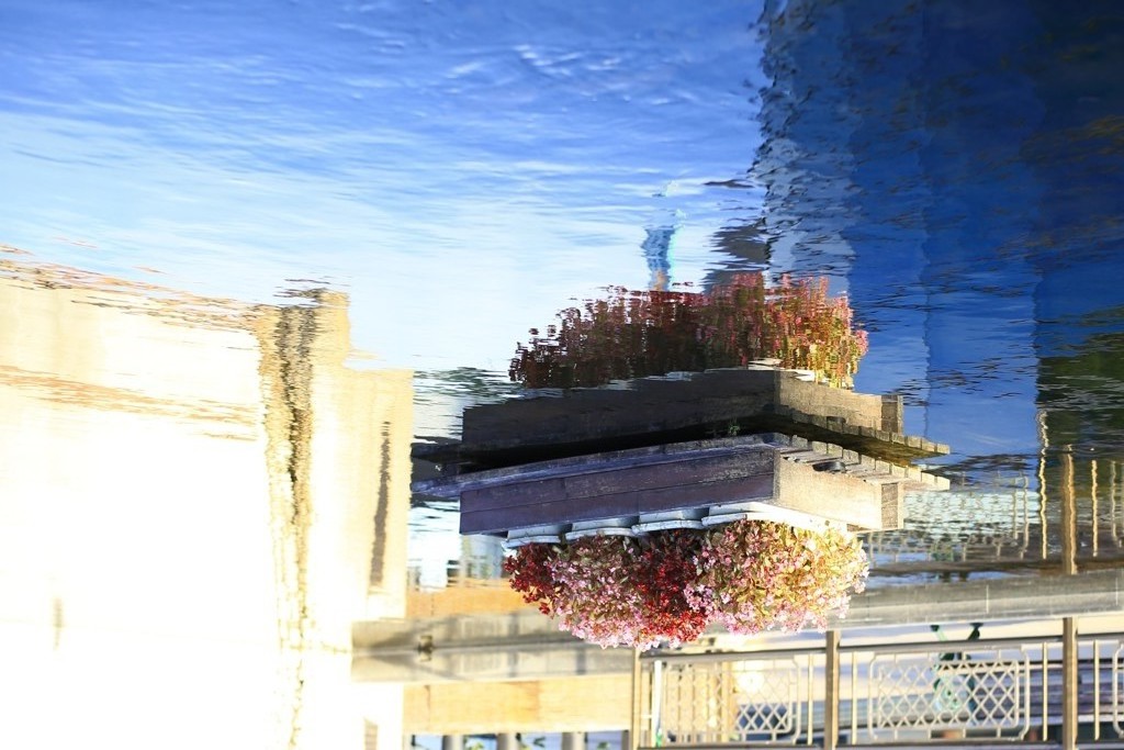 水辺