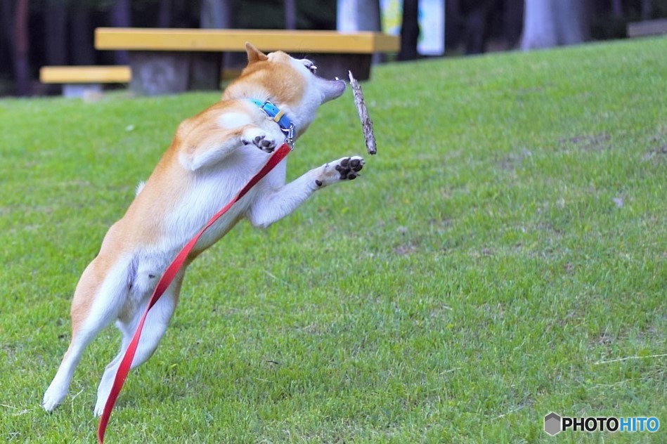 トゥ！