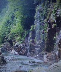 深山幽谷