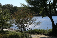 モリコロ湖畔Ⅱ