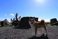 高原散歩