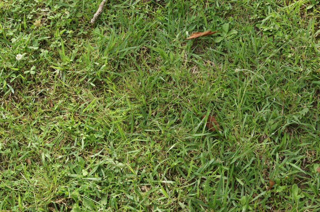 DSC00129