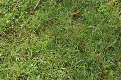 DSC00129