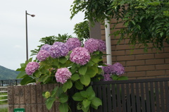 DSC00026