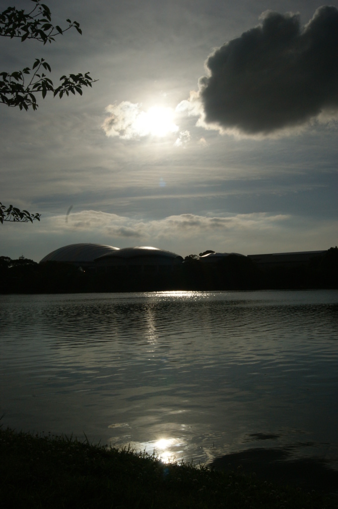 DSC00226
