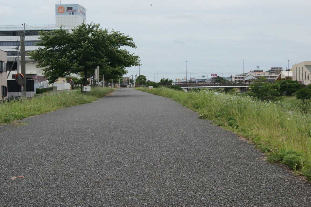 DSC00005