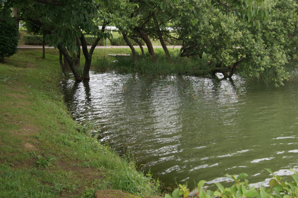 DSC00066