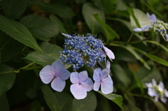 DSC00036