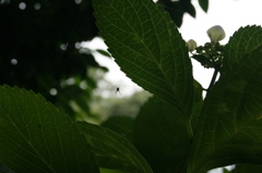 DSC00038