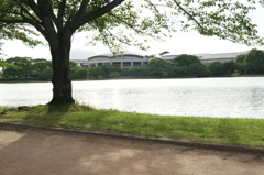 日暮れ