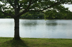 DSC00171