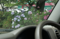 DSC00029