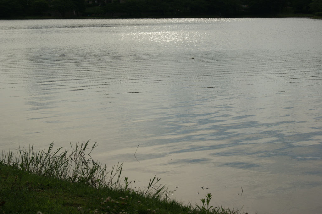 DSC00149