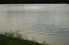 DSC00149