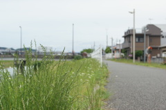 DSC00010