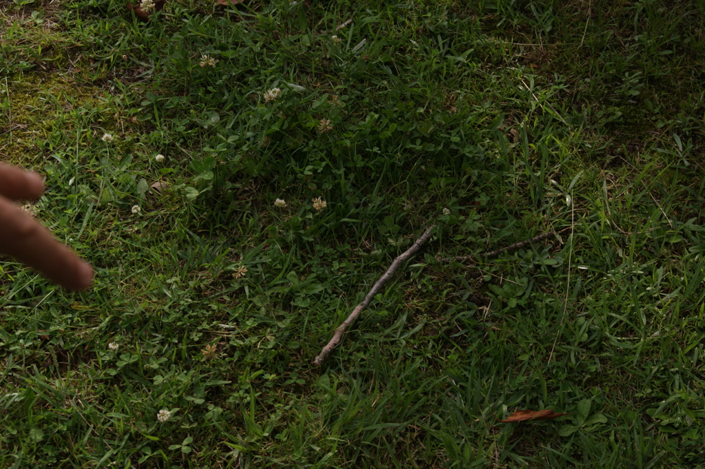 DSC00124