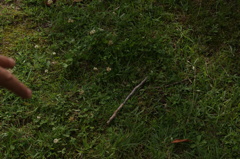 DSC00124