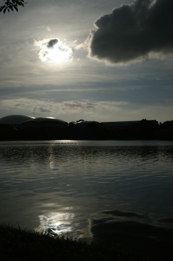 DSC00227
