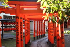 その先へ