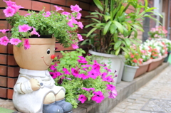 花の住人