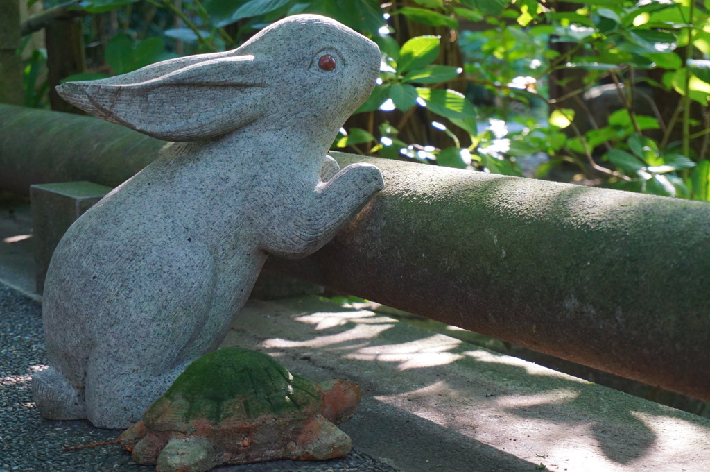 鎌倉明月院の ウサギとカメ By なぽれおん Id 写真共有サイト Photohito