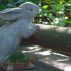 鎌倉明月院の『ウサギとカメ』