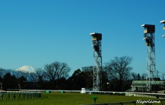 競馬場と富士山