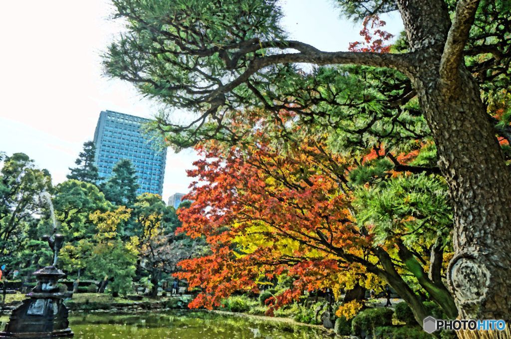 都会の紅葉～水彩画調～