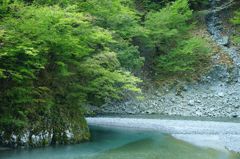 穏やかな川辺