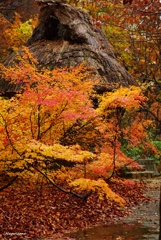 紅葉に囲まれた合掌造り