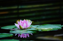 水鏡