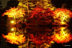 鏡面世界　～紅葉～