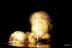 秋の夜空彩る花火③