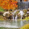 紅葉と池