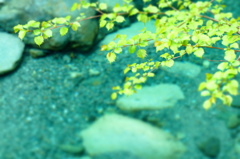 ユーシンブルー