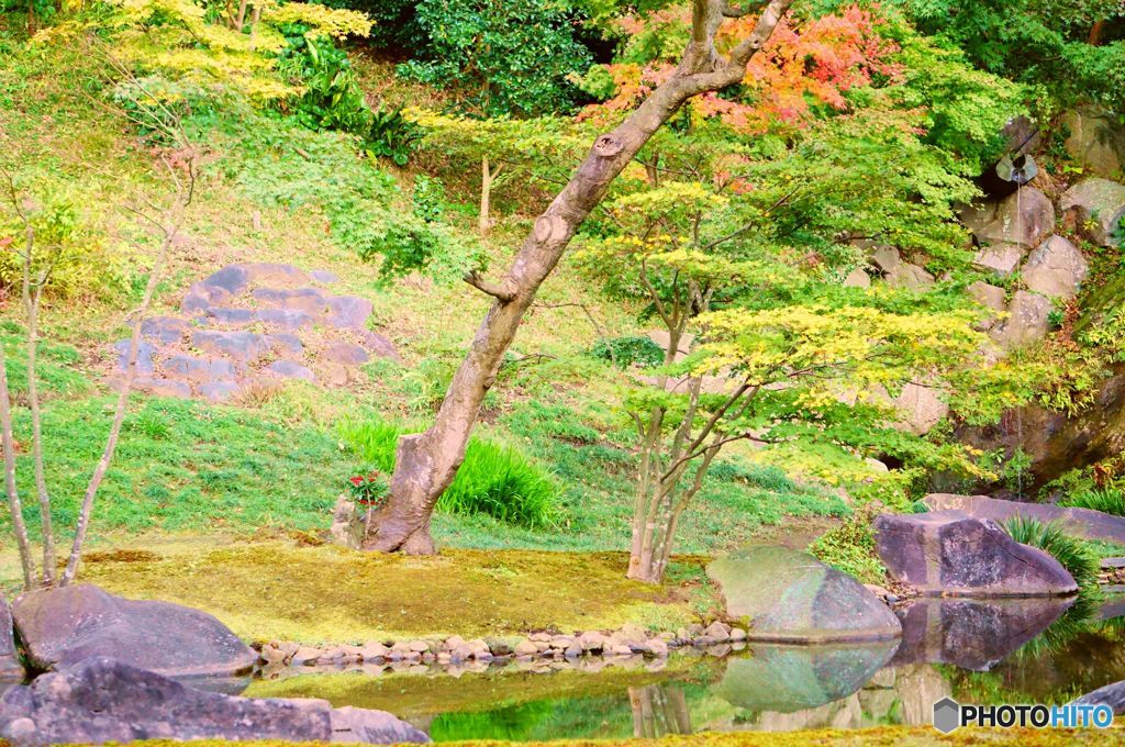 秋の日本庭園